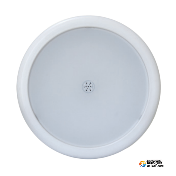 四川海灣HW-ZFJC-E6W-N656SG聲光感應(yīng)型消防應(yīng)急照明燈具