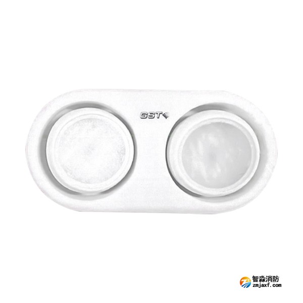 四川海灣HW-ZFJC-E3W-YN663集中電源集中控制型消防應(yīng)急照明燈具（3W雙頭燈）