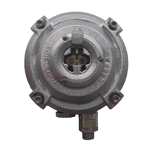 四川海灣D-9107R防爆點(diǎn)型紅外火焰探測(cè)器